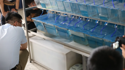 1726106725843945.png image.png